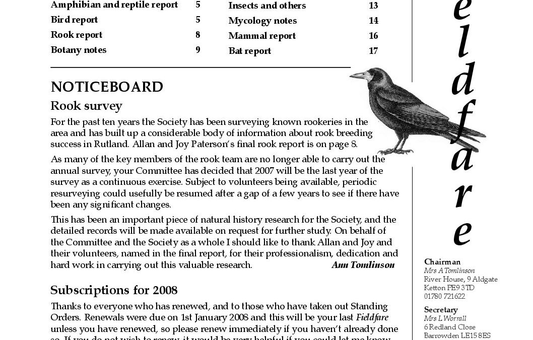 Fieldfare January 2008