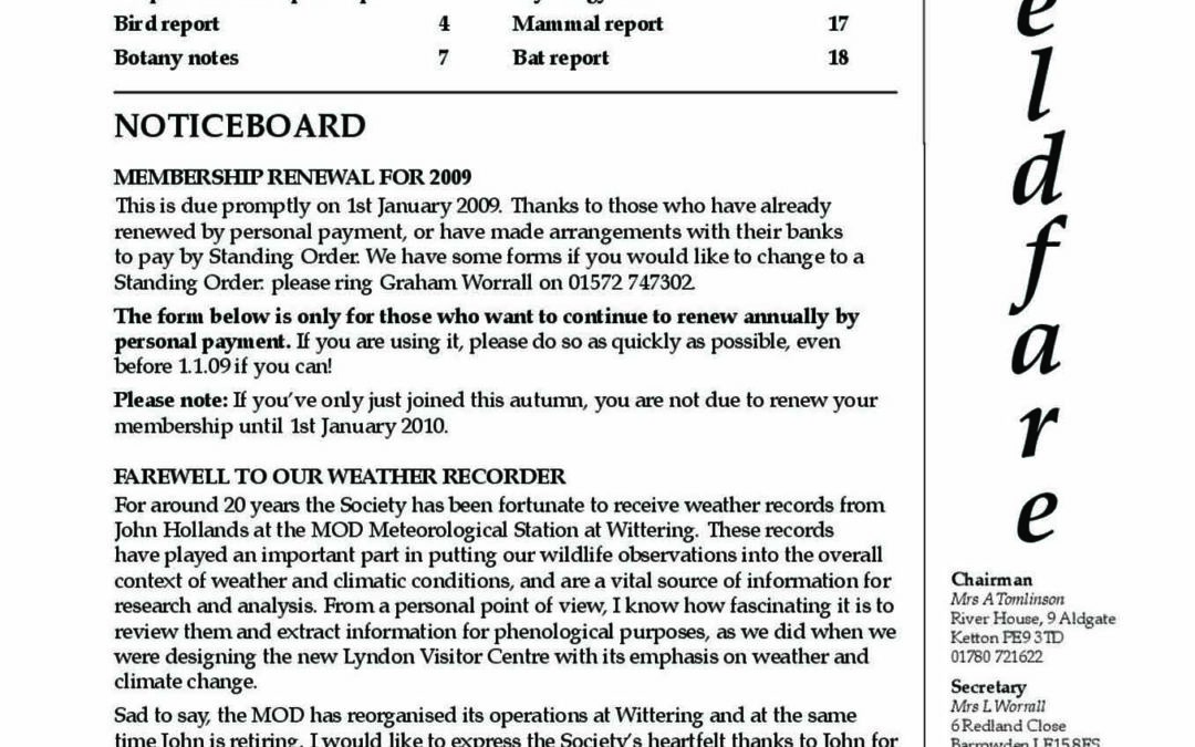 Fieldfare November 2008
