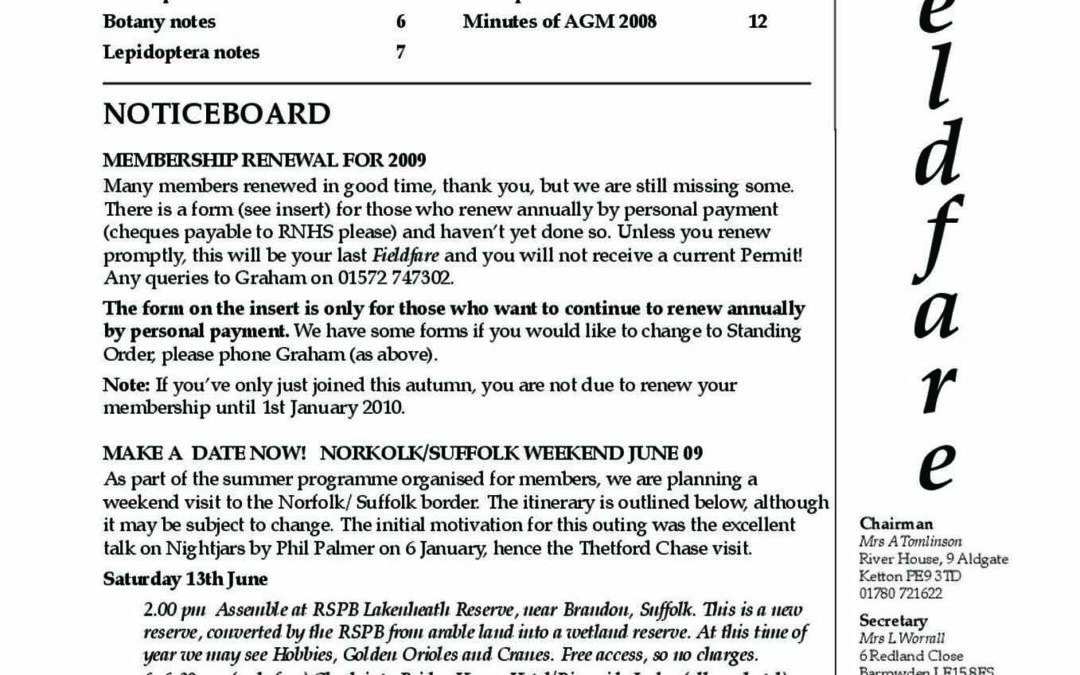 Fieldfare January 2009