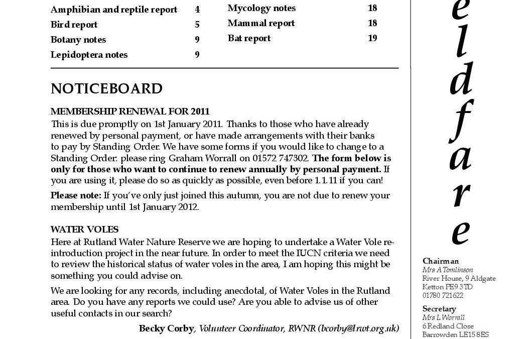 Fieldfare November 2010