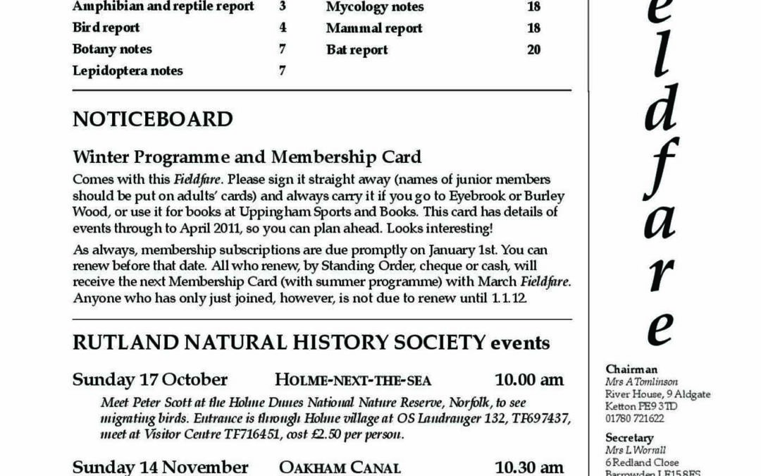 Fieldfare September 2010