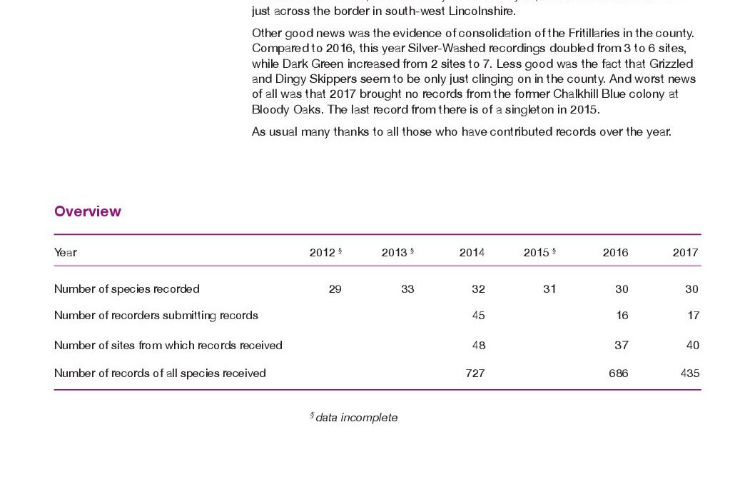 Butterflies version 2