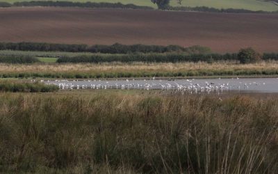 Eyebrook Reservoir Access