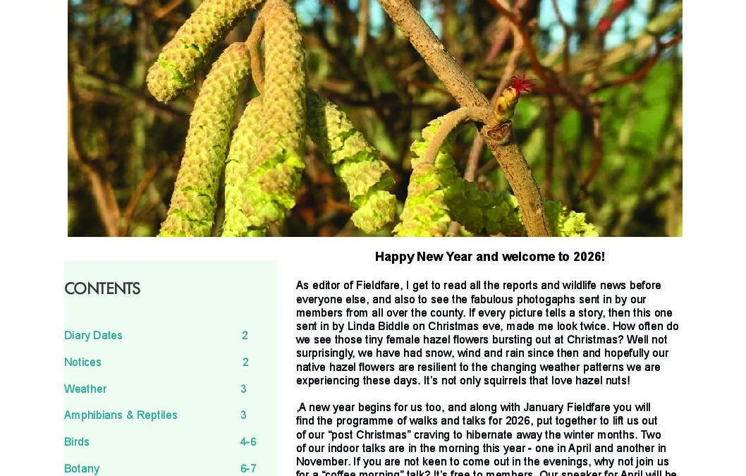 Fieldfare January 2026 web final