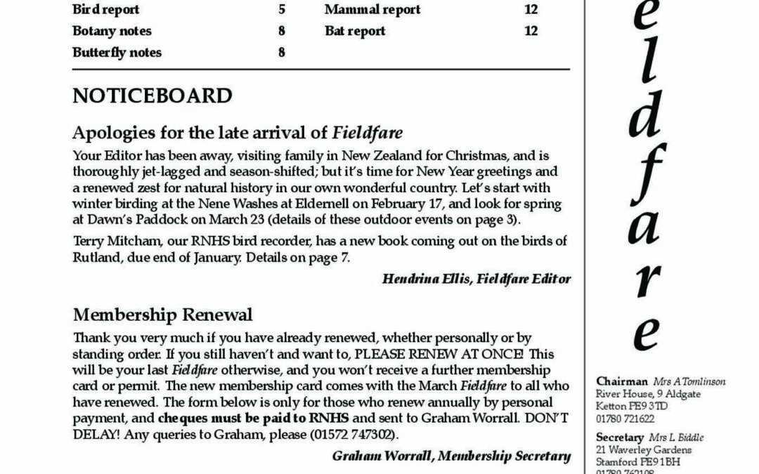 Fieldfare January 2013