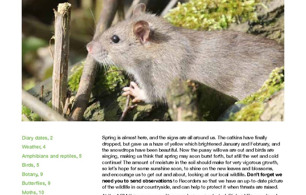 Fieldfare March 2018