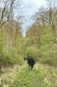 Group of naturalist exploring Launde Park wood