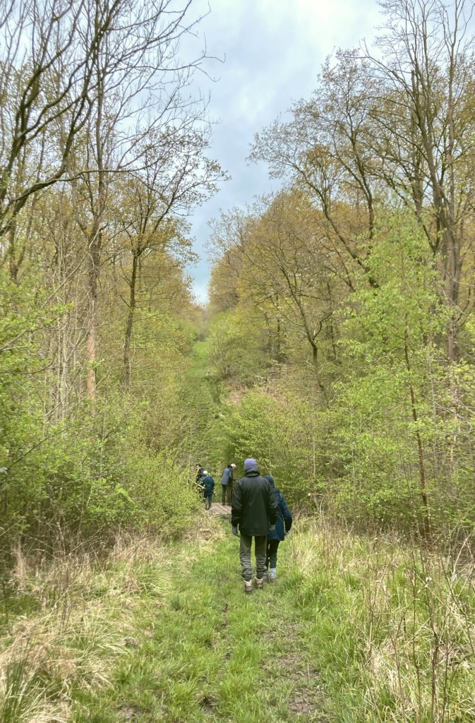 Group of naturalist exploring Launde Park wood