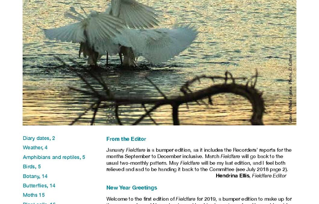 Fieldfare January 2019