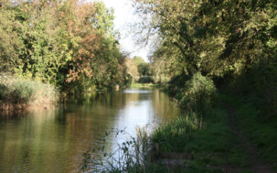 Outdoor Meeting: Bioblitz Oakham Canal