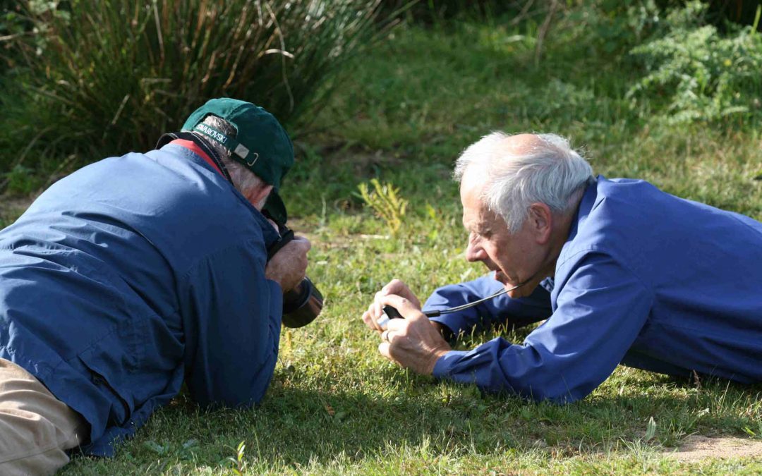 Outdoor Meeting: Bioblitz Oakham – see below for details