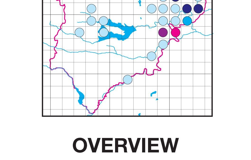 Overview of Annual Report 2016