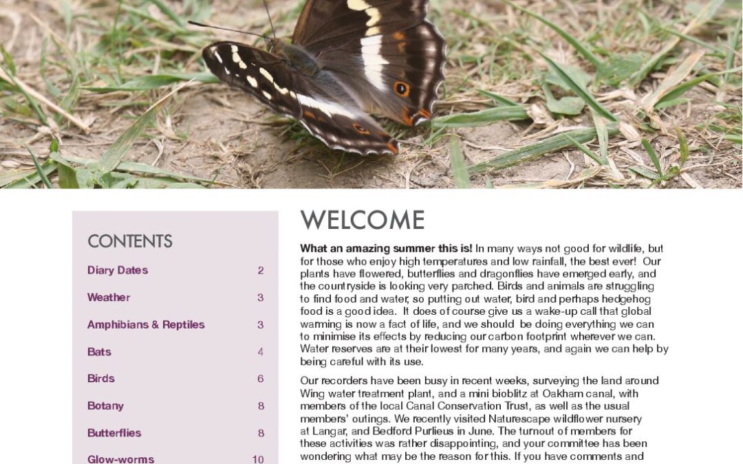 Fieldfare August 2022