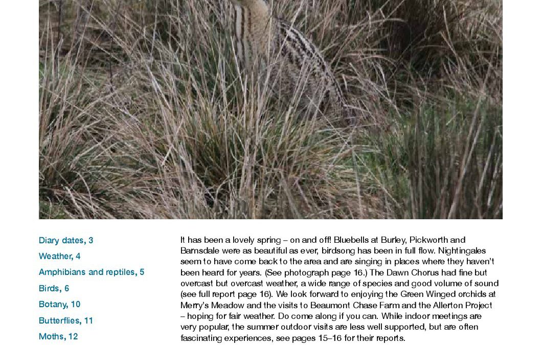 Fieldfare May 2017
