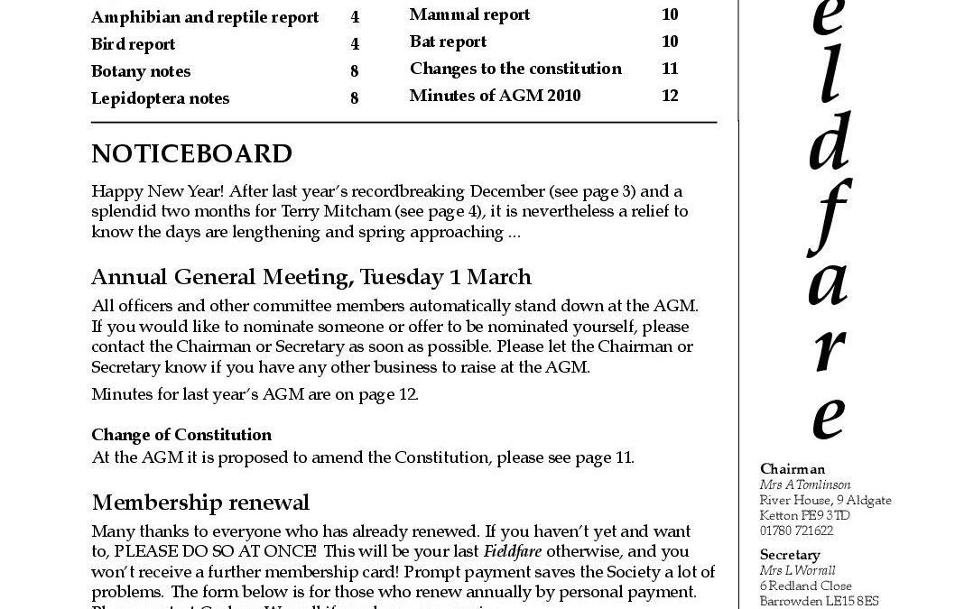 Fieldfare January 2011