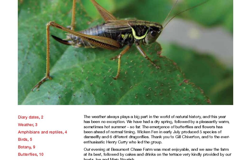 july 17 Fieldfare for web