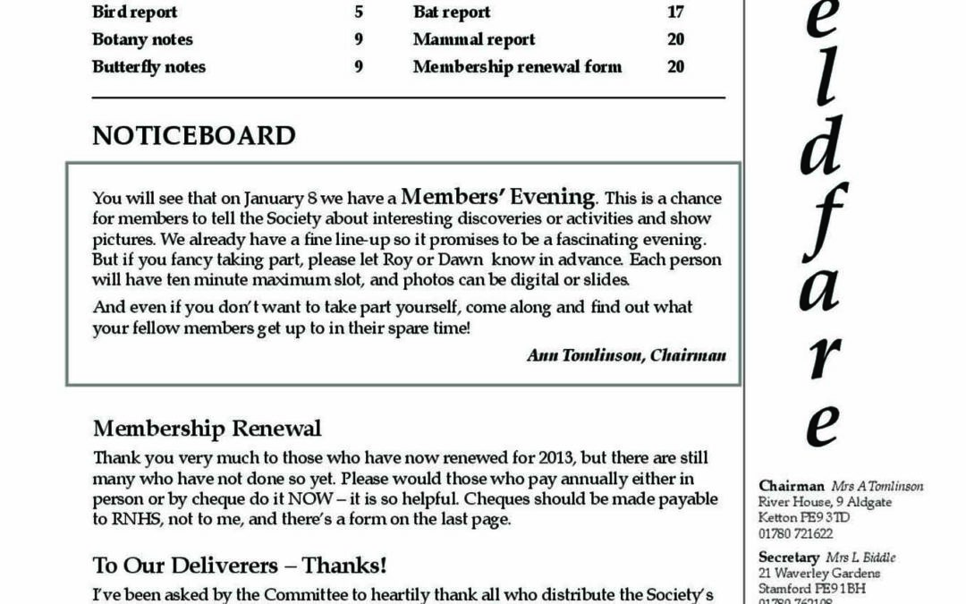 Fieldfare November 2012