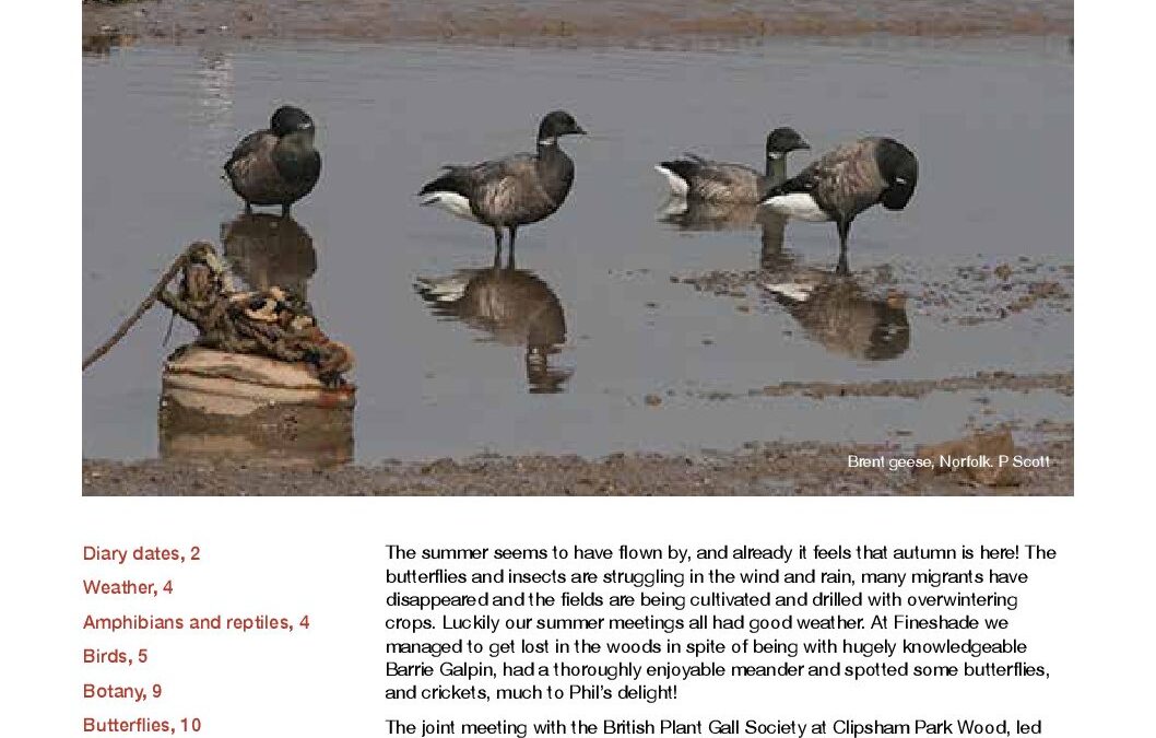 Fieldfare September 2017