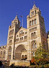Outdoor Meeting : Natural History Museum